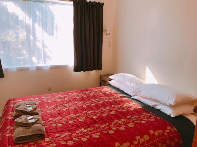 Aaron Court Motel Тімару Екстер'єр фото